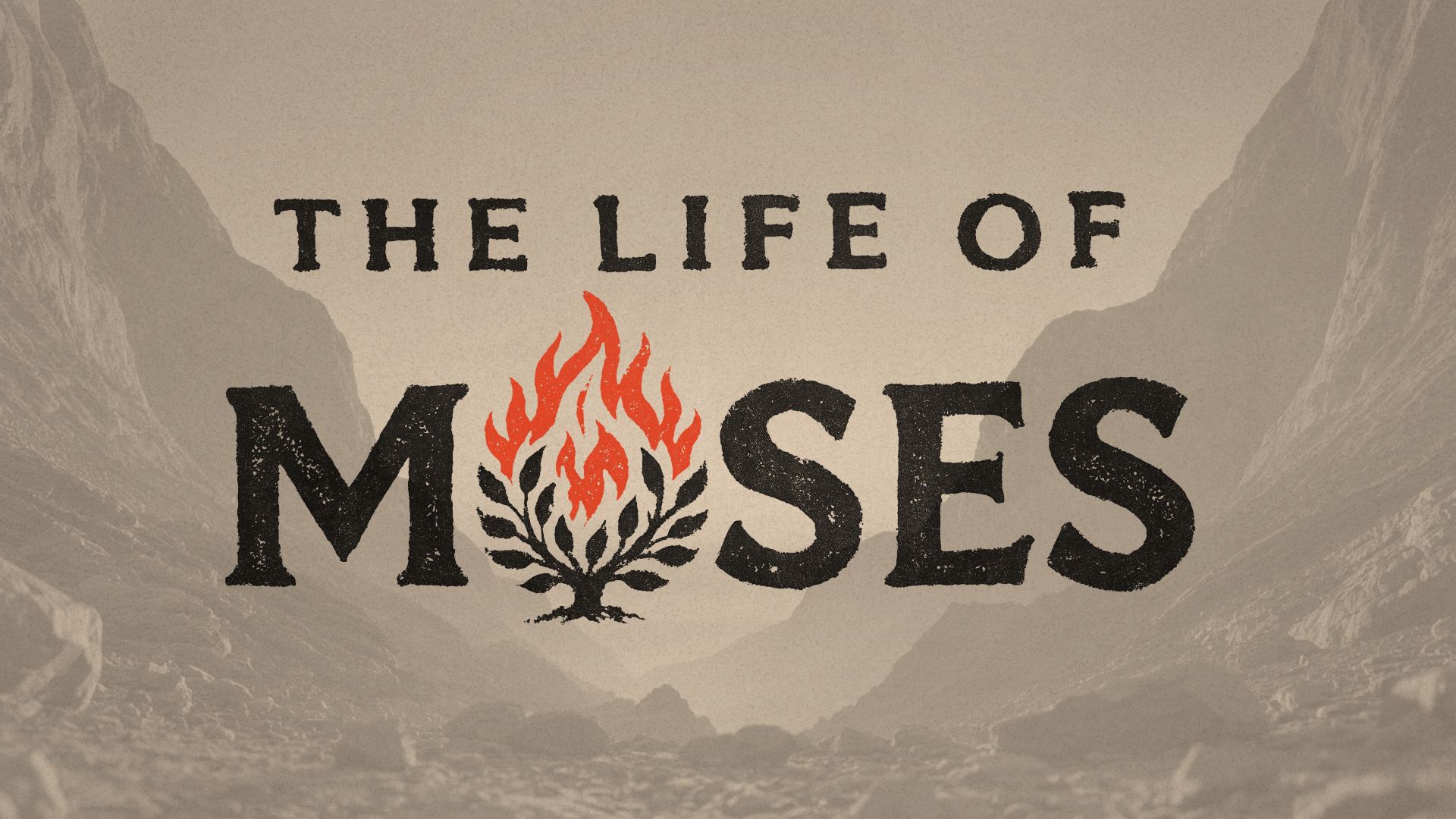 1 Peter sermon series graphic